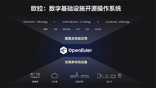 鸿蒙之后，华为捐赠欧拉操作系统 开启人工智能基础软件新篇章